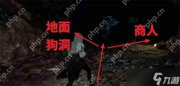 光與影 33 號(hào)遠(yuǎn)征隊(duì)繁葉結(jié)獲取攻略：陰森洞穴尋寶指南