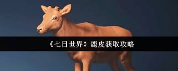 七日世界如何获取鹿皮