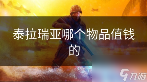 泰拉瑞亚哪个物品值钱的