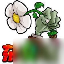 植物大战僵尸杂交版商店副本杀虫剂大喷菇怎么通关