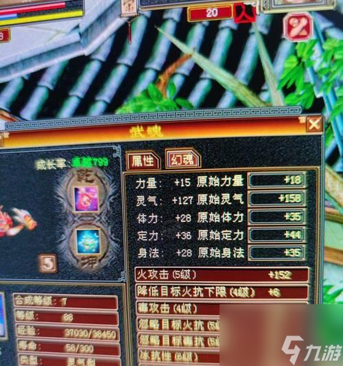 囚牛宠物领取后如何培养？