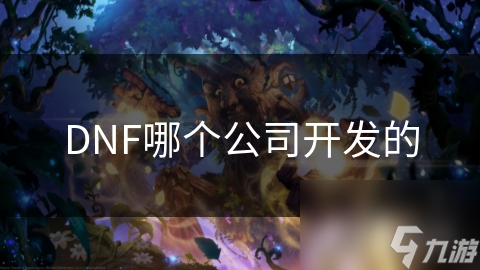 DNF哪个公司开发的