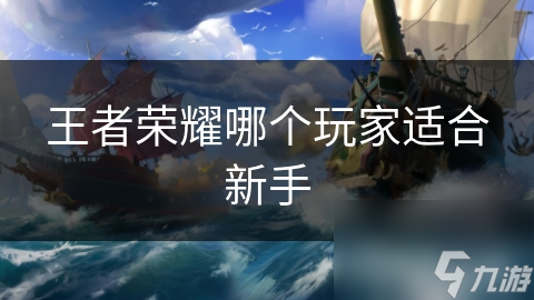 王者荣耀哪个玩家适合新手