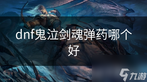 dnf鬼泣劍魂彈藥哪個(gè)好