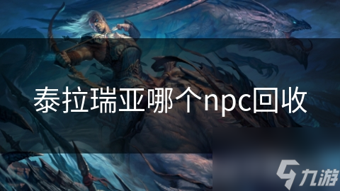 泰拉瑞亚哪个npc回收