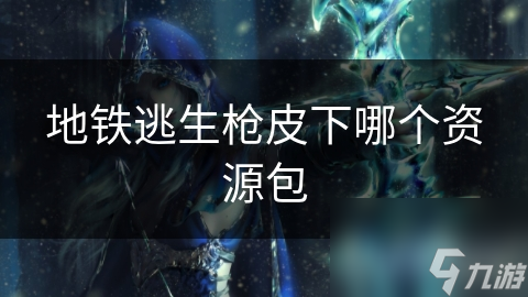 地铁逃生枪皮下哪个资源包