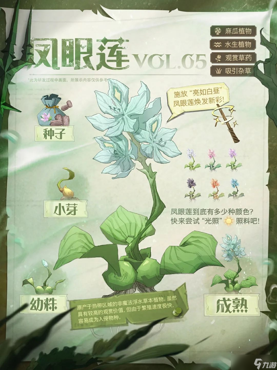 哈利波特：魔法觉醒水生植物图鉴丨一周逛两次“疯狂藤蔓”，每次都有新收获~