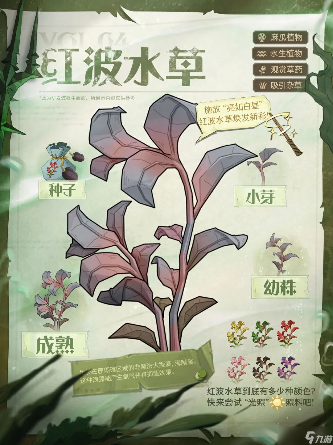 哈利波特 魔法觉醒水生植物图鉴丨一周逛两次“疯狂藤蔓” 每次都有新收获~