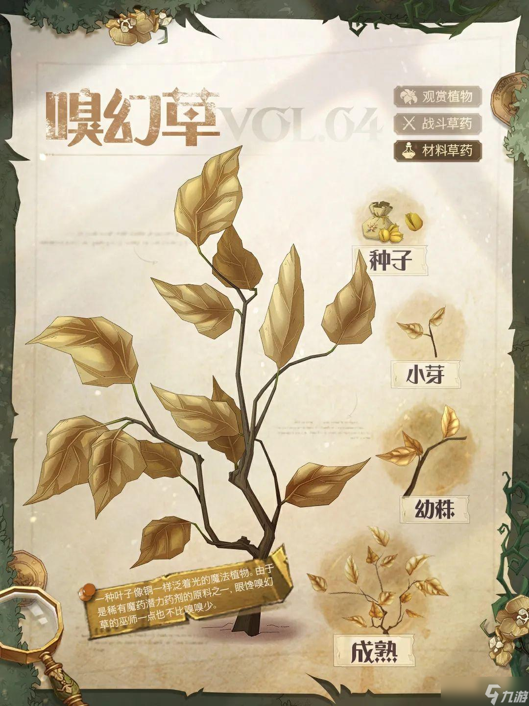 哈利波特：魔法觉醒魔法植物图鉴丨观赏？战斗？做材料？讲究的就是一个一应俱全！