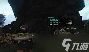 七日世界霜之白斑狗鱼怎么获取