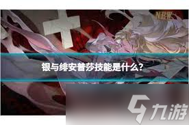 銀與緋安普莎值得入手嗎