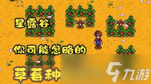 星露谷物语野生种子怎么种