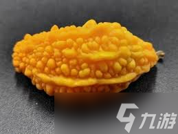 苦瓜成熟后口感會(huì)變甜還是更苦