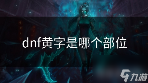 dnf黄字是哪个部位