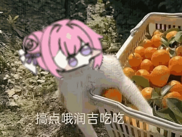 《妮姬：勝利女神》doro出典介紹