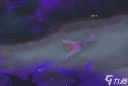 《魔兽世界》邪斑鱼卵获得攻略
