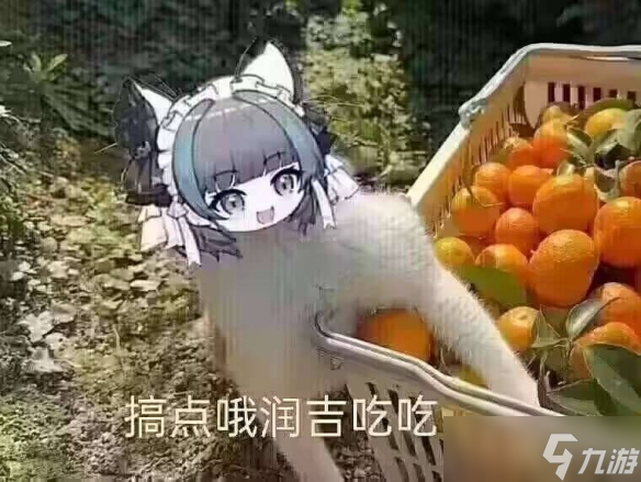 《妮姬：勝利女神》doro橘子關(guān)系介紹
