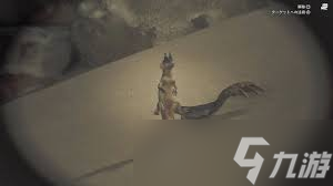怪物獵人荒野足跡蜥蜴在哪捕獲