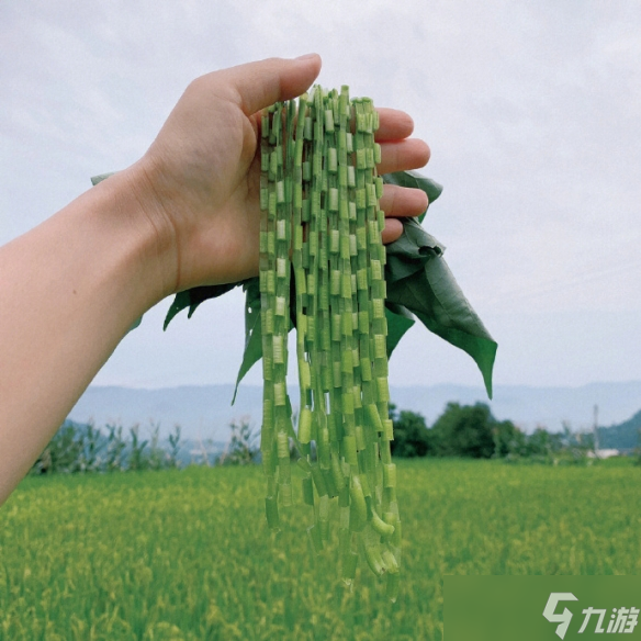 《英雄聯(lián)盟》森系昵稱(chēng)小清新大全