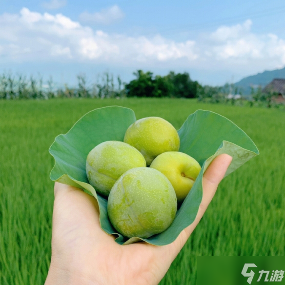 《英雄聯(lián)盟》森系昵稱(chēng)小清新大全