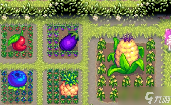 《星露谷物语》巨大作物种植攻略