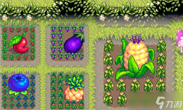 星露谷物语巨大作物种植方法