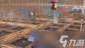七日世界中庞然大菇如何获取