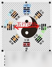 想不想修真五行聚灵阵获取方法