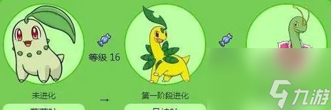 口袋妖怪叶绿砍树技巧是什么？