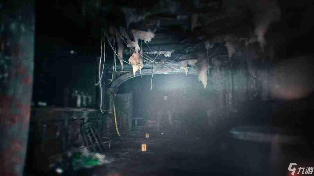 《生化危機(jī)9》主角將是里昂和格蕾絲·阿什克羅夫特