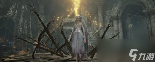 《艾尔登法环 黑夜君临》前期注意事项推荐