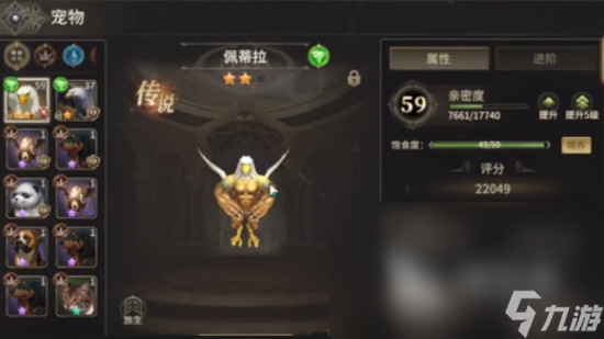奇迹世界起源战士带什么宠物 奇迹世界起源战士宠物推荐指南