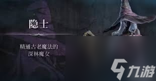 艾尔登法环黑夜君临中有什么衣服服装