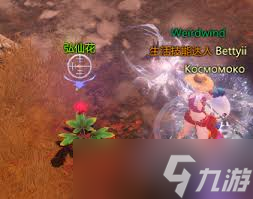 命运方舟116世界树之叶怎么获取