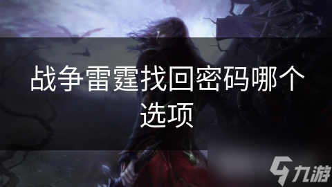 战争雷霆找回密码哪个选项