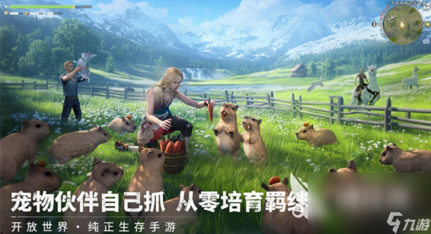 荒原曙光沃维森林藏宝图怎么获取 荒原曙光沃维森林藏宝图获取方式介绍