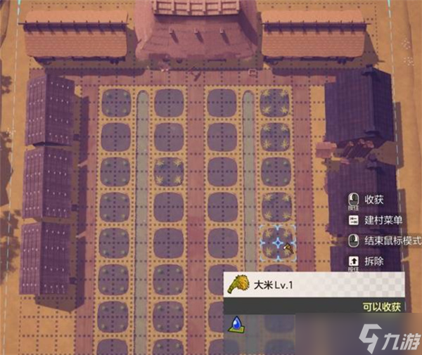 符文工房龙之天地主线任务通关技巧分享