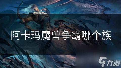阿卡玛魔兽争霸哪个族