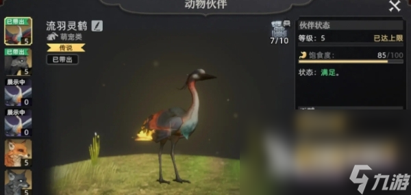 荒原曙光宠物有什么 荒原曙光适用宠物推荐