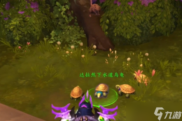 《魔兽世界》达拉然下水道乌龟宠物获取攻略