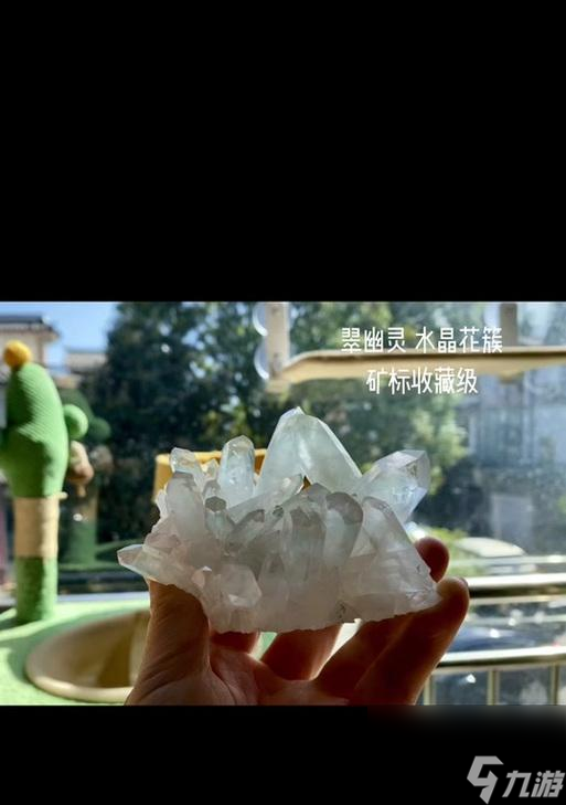 我的世界中如何获得花簇？