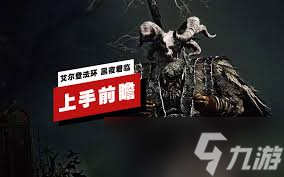 艾尔登法环黑夜君临无赖职业怎么构筑好用