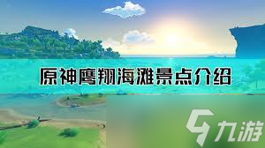 原神风中万花活动鹰翔海滩怎么刷高分