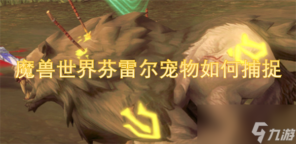 魔兽世界芬雷尔宠物怎样捕捉