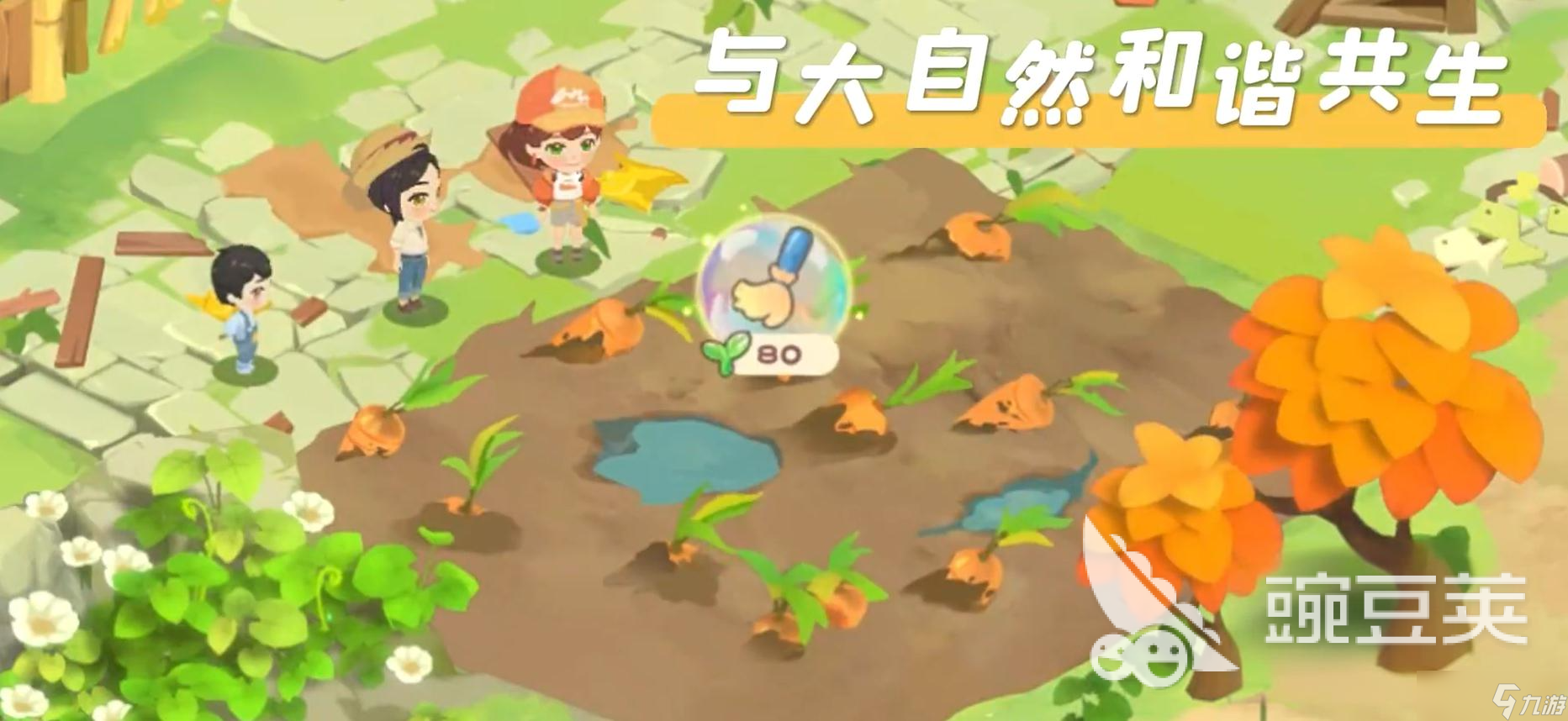 碳碳岛积分如作用是什么 碳碳岛积分作用介绍