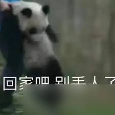 回家吧梗的含义是什么