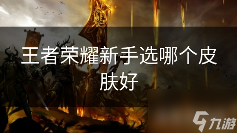 王者荣耀新手选哪个皮肤好