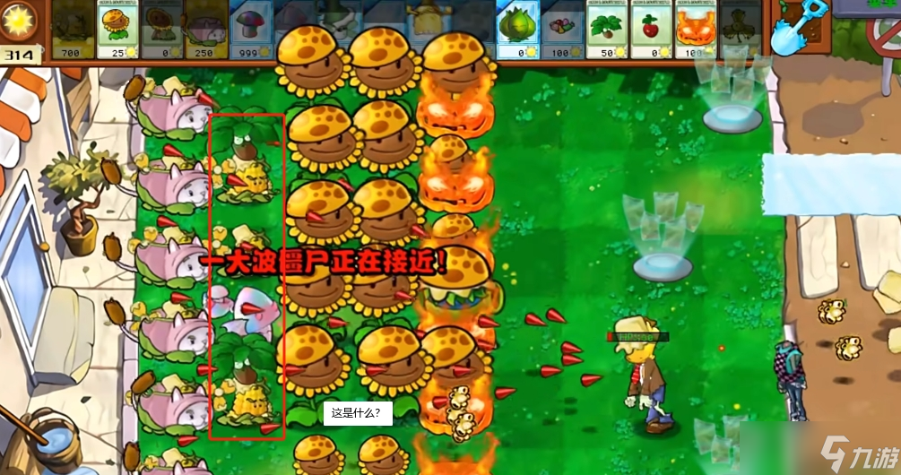 《植物大戰(zhàn)僵尸雜交版》新植物星光閃卡玉米旋轉機介紹