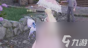 无限暖暖怎么与盛大花焰合影一次