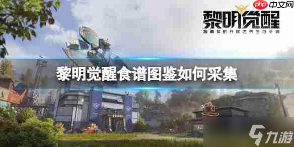黎明觉醒食谱图鉴怎么采集
